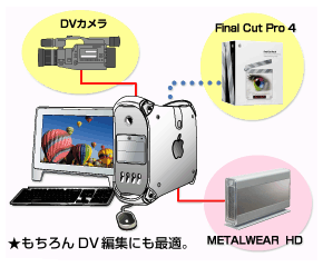 METALWEARV[Ybsp1t傫ȃTCỸf[^]